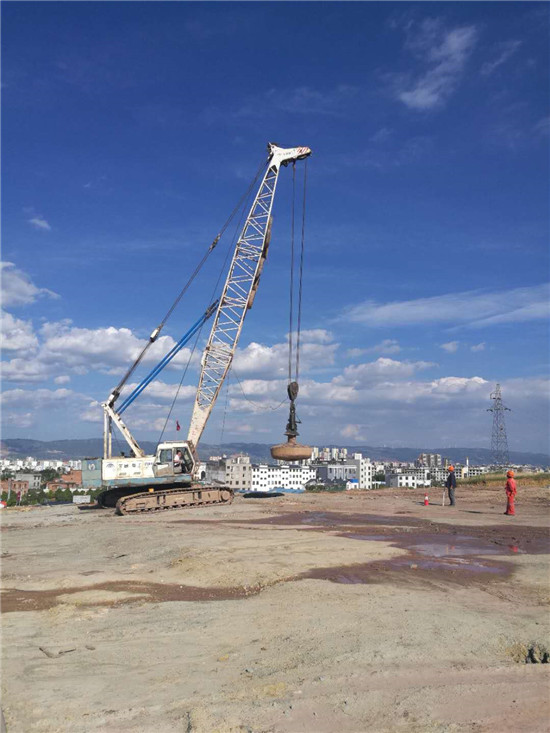 云南曲靖玫瑰園項目